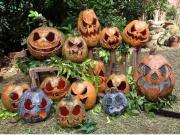 Pumpkin Art by Eden V. Fuster