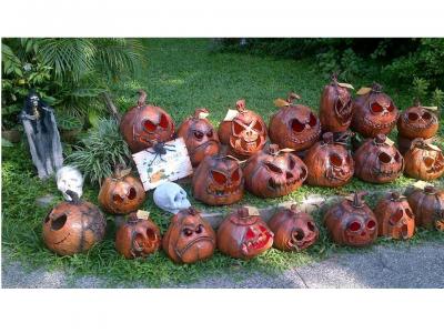 "Pumpkin Art" by Eden V. Fuster