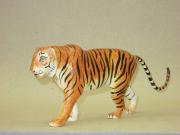 Tiger by Jim Seffens