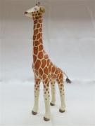 Giraffe by Jim Seffens