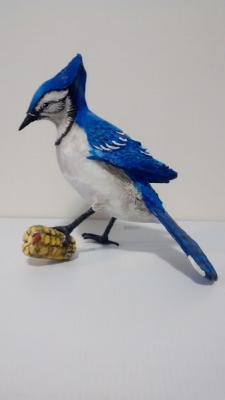 "Blue jay" by Marilyn Kalbhenn