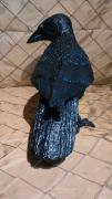 Common crow by Marilyn Kalbhenn