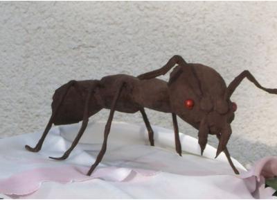 "Ant" by Sarolta Kurucz