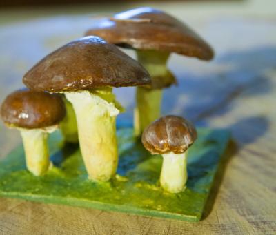 "slippery jack mushroom" by Dorota Piotrowiak