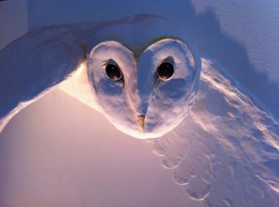 "Watching You - Close Up" by Jo Muncaster