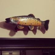 Fario trout by Alejandro Hornsby