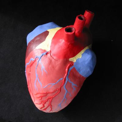 "Realistic Heart Box" by Raul Aguilar