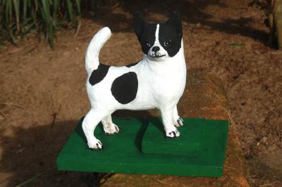 "chihuahua short hair" by André Parisi