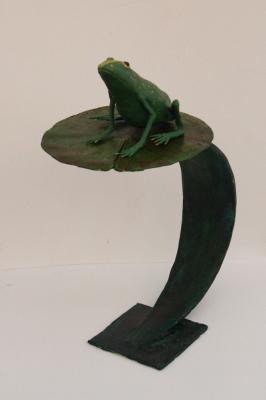 "Frog on water lily leaf" by David Osborne