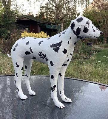 "Dalmation" by David Osborne