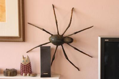 "Spider travels" by David Osborne