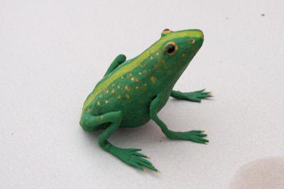 "Frog" by David Osborne